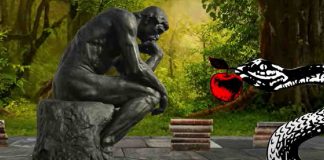 Ignobel 2022