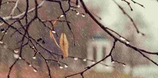autunno