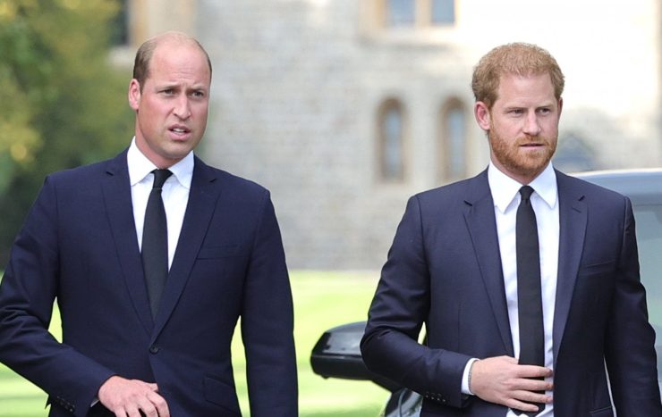 Kate e William contro Meghan ed Harry - PeriodicoItaliano