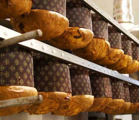 Non solo Panettone e Pandora: ecco gli altri dolci natalizi