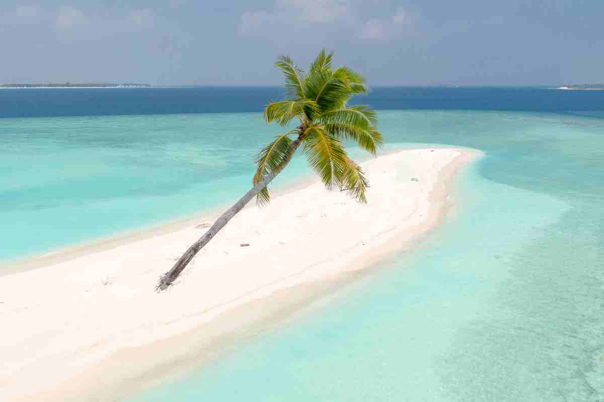 Maldive