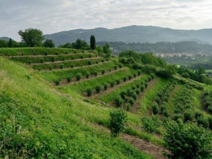 Piramidi di Montevecchia